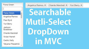 asp net mvc searchable and multi