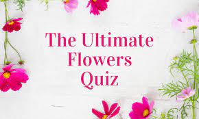 flowers quiz 50 flower trivia