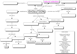 What many do not realize is how much work and research goes on behind the scenes natural selection & adapt unit 6 vocab website. Evolution Concept Map