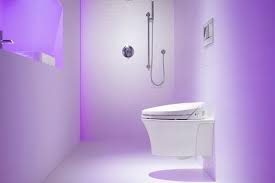 Wall Hung Toilets Offer Bathroom