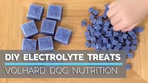 dog diy healthy treats