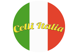 Tour italia tv #italia #italy #inversiones. Celli Italia 08523 Plauen Italian Style Pizza Pasta Doner Order Takeaway Food Lieferando De