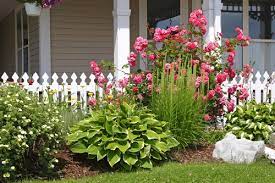 Narrow Walkway Flower Bed Ideas Dk