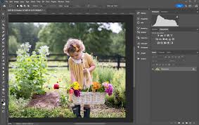 how to use overlays in photo the