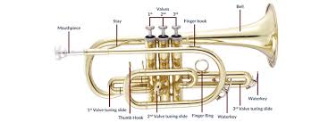 Guide To Buying Your First Cornet How To Choose A Cornet