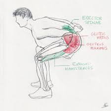 A few simple rules with the observance of technology exercises will allow you to quickly and efficiently work out the muscles of the arms, buttocks and lower back. Why And How The Buttock Muscles Protect Your Lower Back During Squats Get Back Health Chiropractic And Wellness Clinic Blog