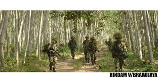 Image result for tanda medan perang dalam TNI foto