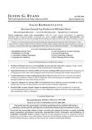 Sales Resume   Free Resume Example And Writing Download