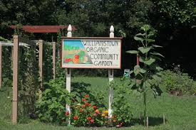 williamstown community garden is alive