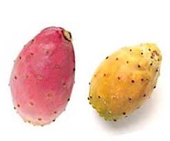 7 ly pear cactus pear nutrition