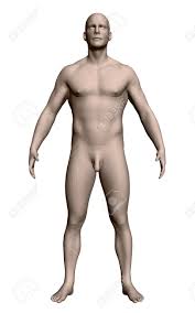 リアルな男のベクトルイラスト。裸の男は腕と足を広げてポーズをとっている。生理学的に発達した人間の構造。3D. 正面図。のイラスト素材・ベクター  Image 97696908