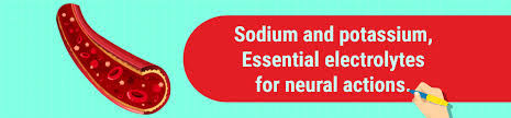 sodium potium test explore all