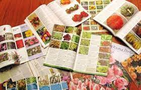 plant seed catalogues the garden