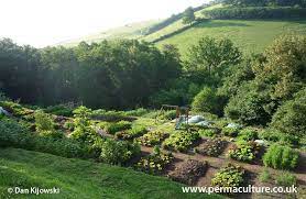 Why I Love Permaculture Easyblog