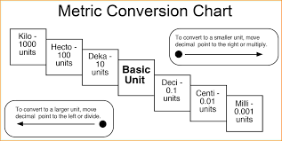 Free Metric Conversion Chart Inspirational Standard Units With