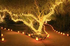 Outdoor Tree Lights On Year Round