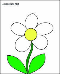 easy flower drawing with colour step by