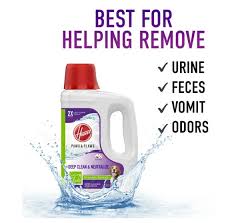 stain guard carpet cleaner solution