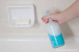 Best Homemade Shower Cleaner Powers