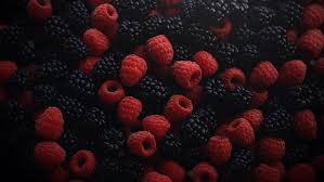 blackberry fruit 1080p 2k 4k 5k hd