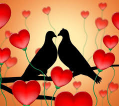 love birds means tenderness wildlife