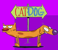 Image result for catdog gif