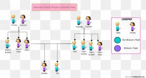 Pedigree Chart Family Tree Ancestor Png 512x512px