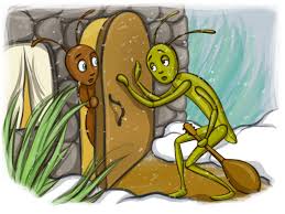 image of an ant and a grasshopper కోసం చిత్ర ఫలితం