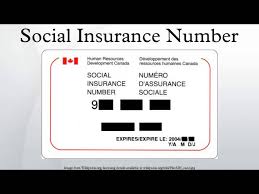 social insurance number you