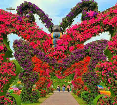 erfly page at dubai miracle garden