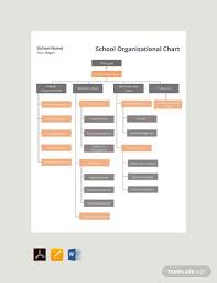 14 School Organizational Chart Templates In Google Docs