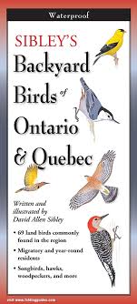 In ontario, canada there are so many birds that you can find in your backyard. Buy Sibley S Backyard Birds Of Ontario And Quebec Online Sibley S Backyard Birds Of Ontario And Quebec Prices In Canada Urban Nature Store