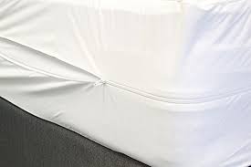 anti bed bug mattress protector