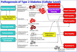 Biology Diagrams Type 2 Diabetes Cellular Level