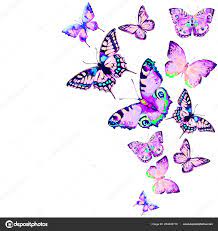 Красивые Бабочки Акварель Изолированные Белом Фоне Стоковая иллюстрация  ©aboard 204645716