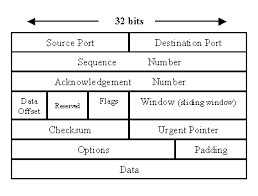 exploring the anatomy of a data packet