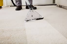 thorough carpet cleaning in leesburg va