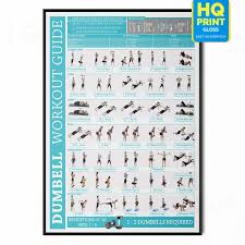 dumbbell chart workout exercise print