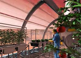 Image result for now learn how to grow food on mars