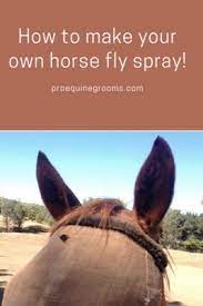 homemade fly spray pro equine grooms