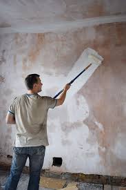 The Only Way To Paint New Plaster
