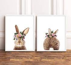 Bunny Rabbit Print Set Of 2 Bunny