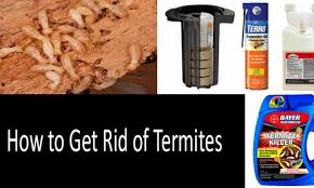 Ants can be nice as pets when they stay in their farm, but when they take over your living space it's time to seek a remedy that will rid your home of them. How To Get Rid Of Termites 7 Best Termite Killers In 2021