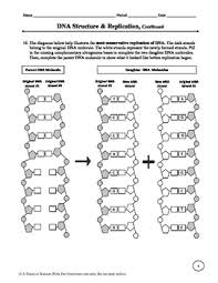 This software is available in many versions and it is applicable. Dna Structure And Replication Worksheet By A Thom Ic Science Tpt