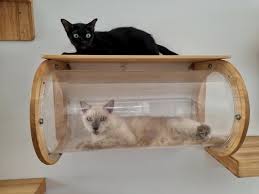 18 Diy Cat Shelves You Can Make Today
