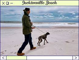 jacksonville beach a dog friendly