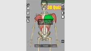 This 6th edition of anatomy: Get 3d Bones And Organs Anatomy Microsoft Store