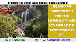 exploring the walter sisulu botanical