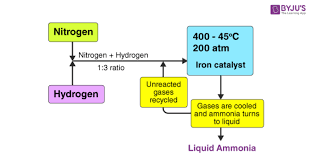 process for the manufacture of ammonia
