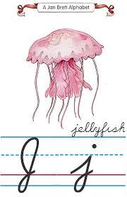 Trace the cursive j's (lowercase and uppercase) and then write them on their own as well as trace some words that have the letter j. Cursive Alphabet J Jellyfish